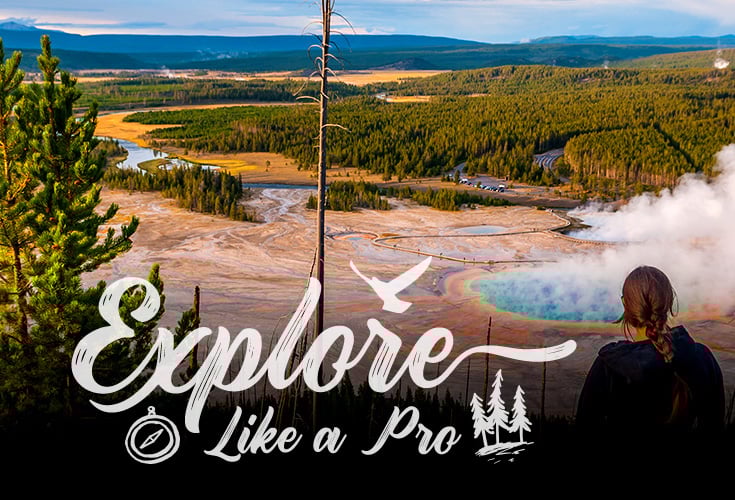 Plan Your Best Yellowstone Trip: Top 10 Visitor Secrets